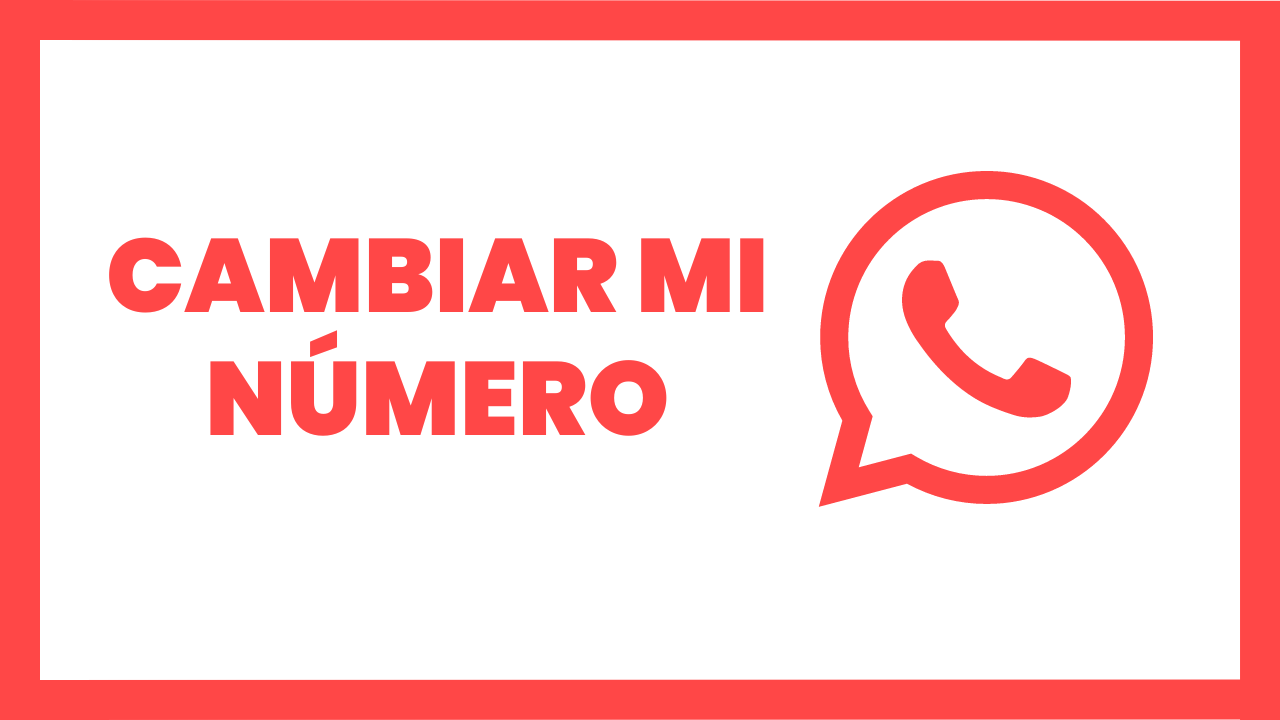 Cambia tu número de whatsapp en tu catálogo mercagi
